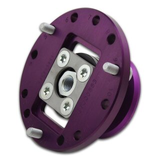 KW Clubsport Stützlager Vorderachse Links mit Sturzverstellung für BMW 3 (F30, F80) 320 i / 19000853