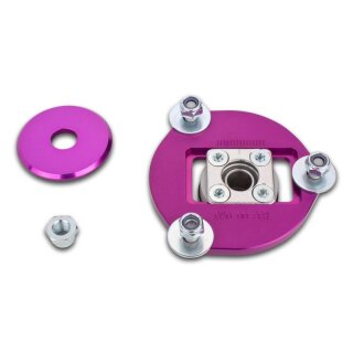 KW Clubsport Stützlager Vorderachse mit Sturzverstellung für RENAULT CLIO III (BR0/1, CR0/1) 2.0 16V Sport / 19000837