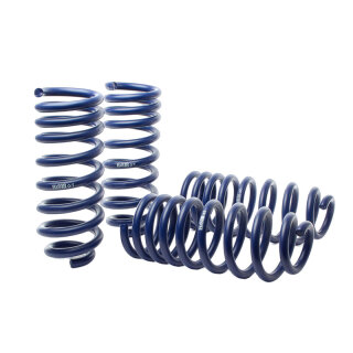 H&R Höherlegungsfedern für SUBARU LEGACY IV Station Wagon (BP) 2.0 AWD - 132 KW / 29165-1