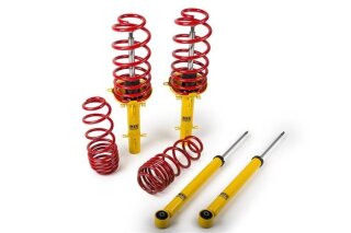 MTS Technik Sportfahrwerk für für AUDI 90 B3 (893, 894, 8A2) 2.0 - 85 KW / MTSKPLAU125