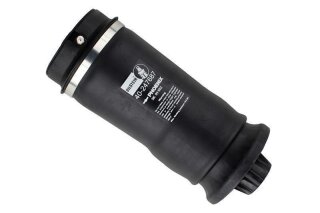 BILSTEIN B3 Serienersatz Luftfeder Hinterachse für MERCEDES-BENZ GLE Coupe (C292) 320 4-matic (292.362) - 200 KW / 40-247687