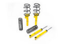 MTS Technik x Eibach Pro-Kit Sportfahrwerk für AUDI...