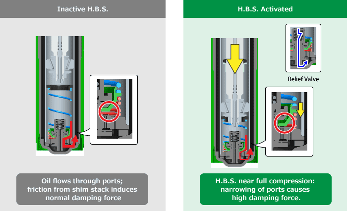 TEIN Inactive H.B.S./H.B.S. Activated